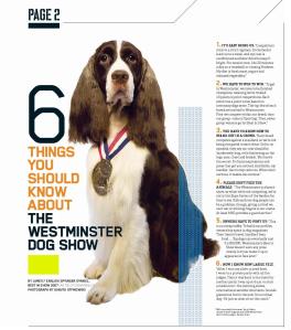 6thingswestminsterdogshow