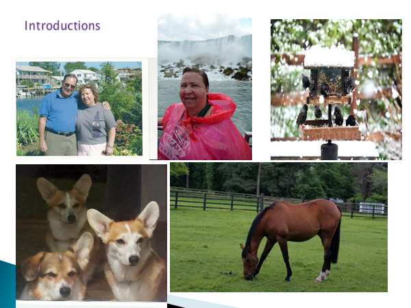 Introducing Myself with Photos